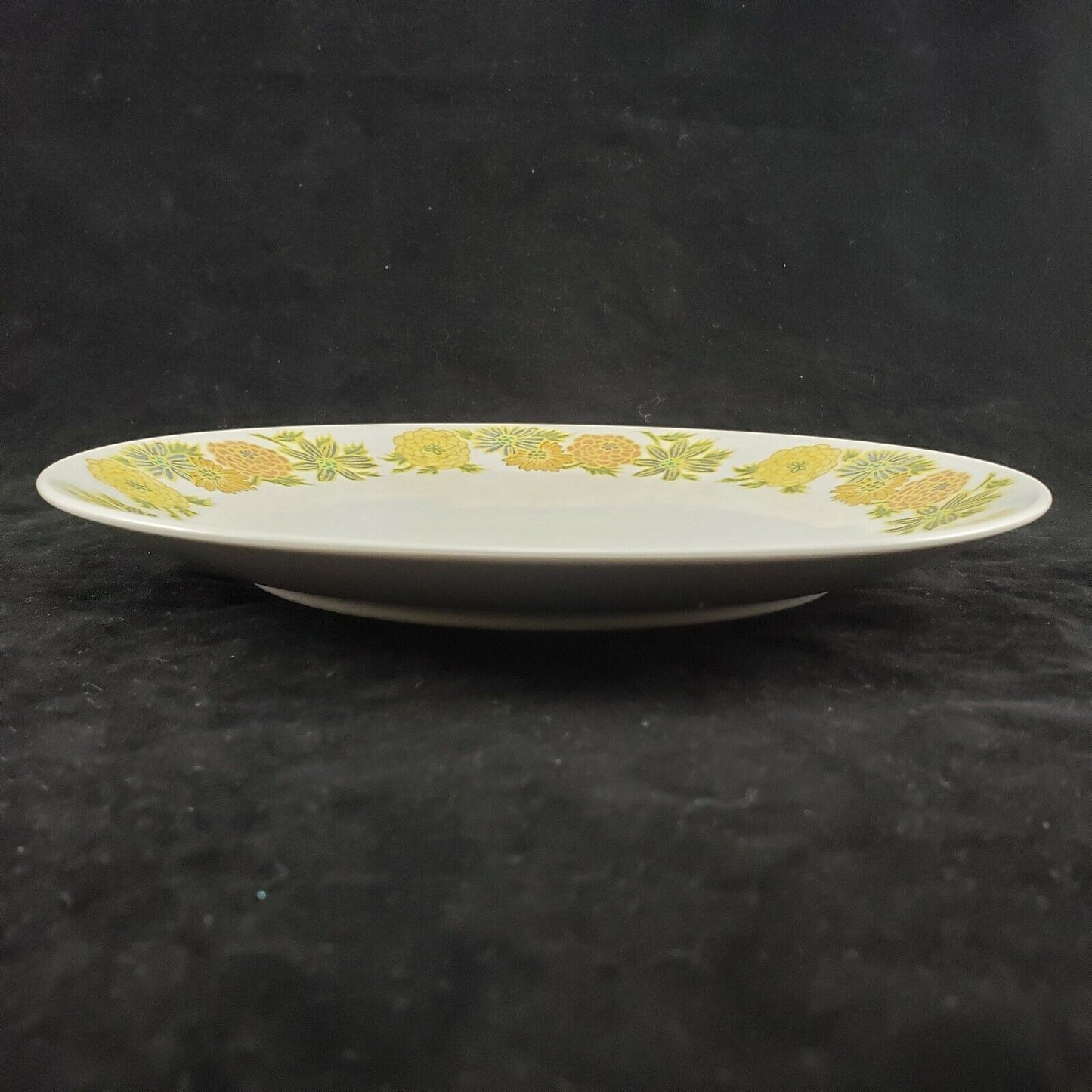 Nortake Progression China Sunny Side 9003 Pattern 10½" One Dinner Plate Japan