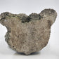 Angel Bear Brown Concrete Statue Halo Wings Cross Garden Decor 6"