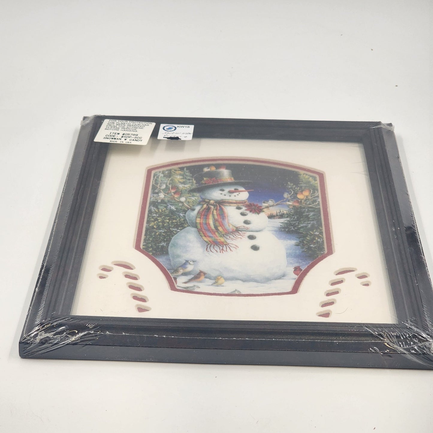 Feathered Friends Snowman Birds Framed Art 8x10 Sealed Matted Dark Wood Frame US