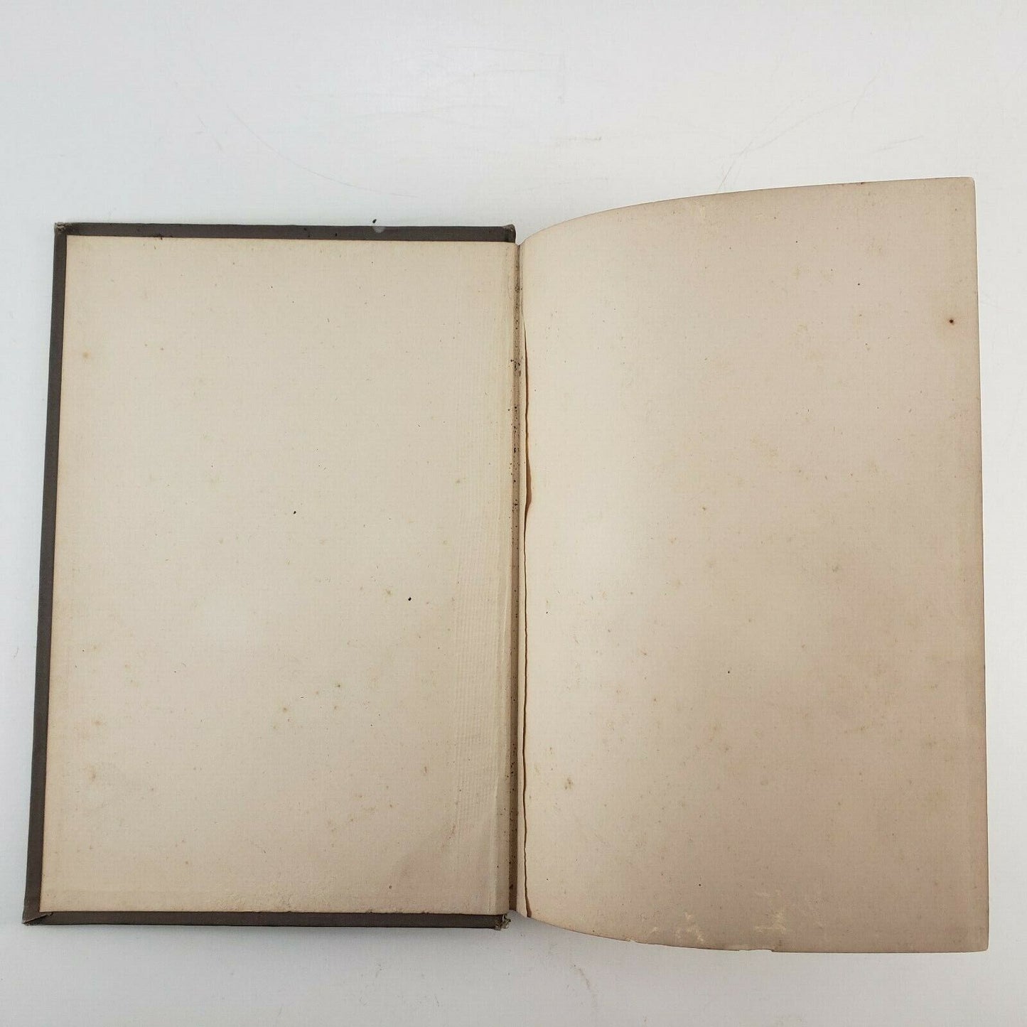 Songs of the Shawangunks Ralcy H Bell 1891 Signed 1st Ed Illustrated Poetry