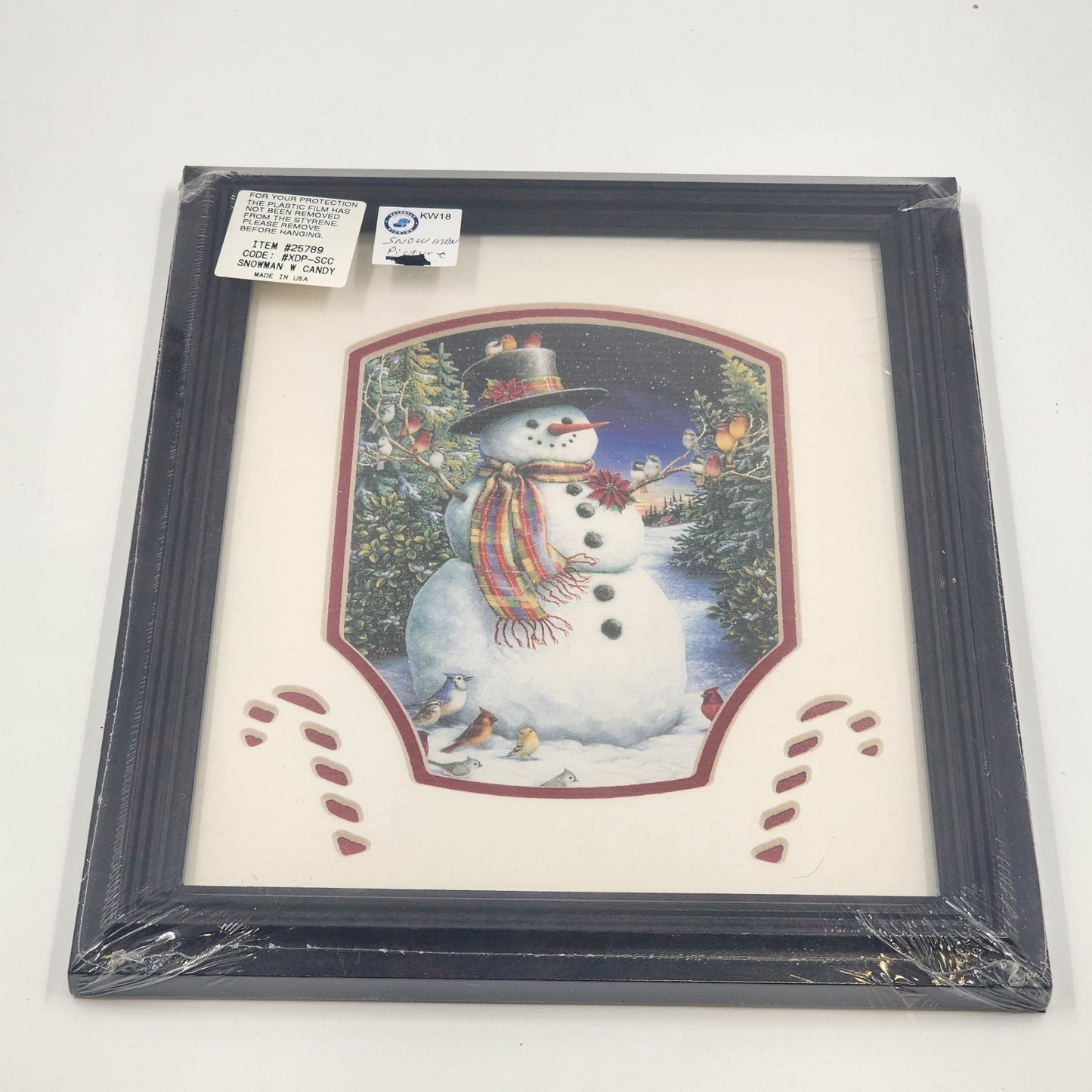 Feathered Friends Snowman Birds Framed Art 8x10 Sealed Matted Dark Wood Frame US
