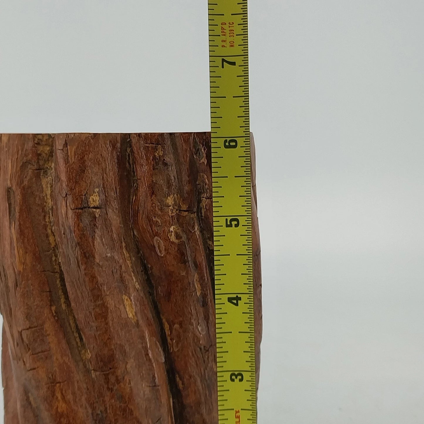 Solid Wooden Stump Rustic Decor Natural Finished Wood 6" Growth Rings Farmhouse