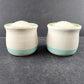 Tulip Time Earthenware China by Franciscan Blue Green Tulip Blue Green Rim