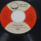 Lobo 45 RPM Vinyl Lot Soft Rock Singles Big Tree Records 1970s
