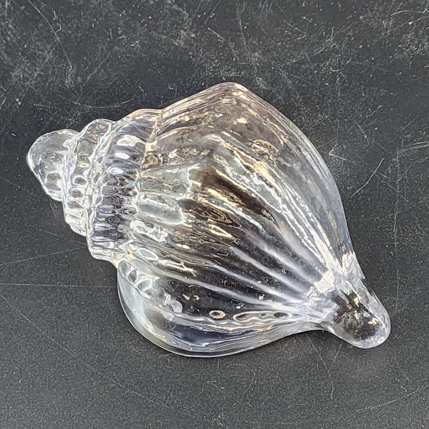 Clear Art Glass Conch Shell Paperweight Hand Blown Nautical Murano Style Decor