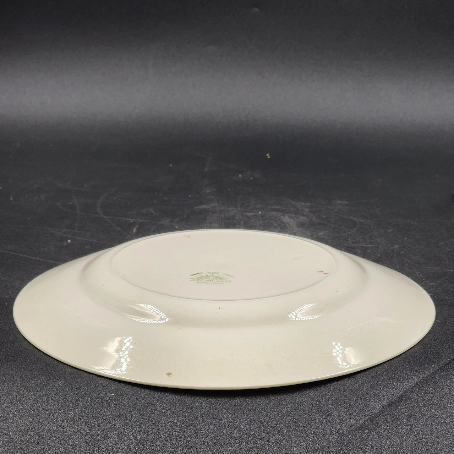Nebraska Blue Dinner Plate 10" England Blue Rim Flower Accent J&G Meakin