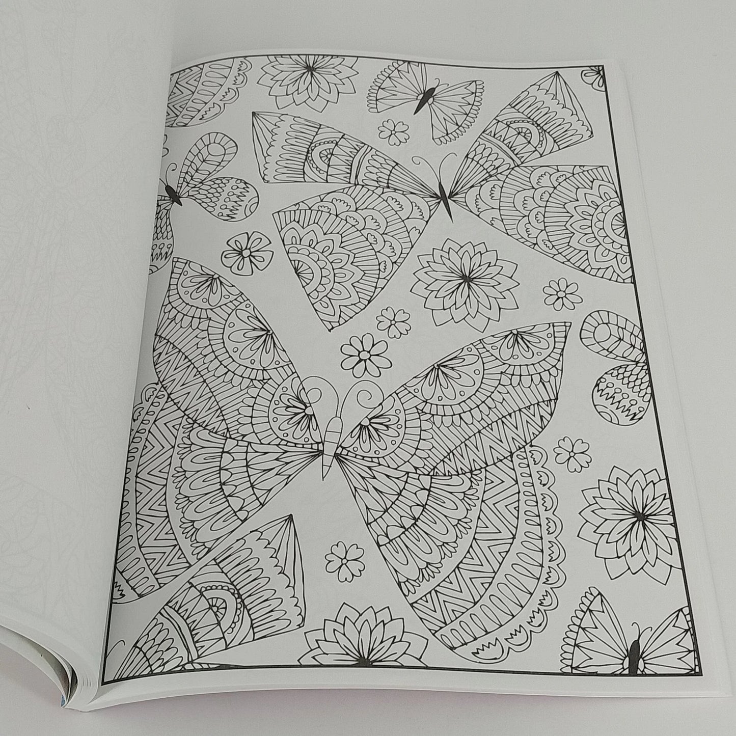 Timeless Creations Beautiful Butterflies Coloring Book 2016 Paperback 64 Pages
