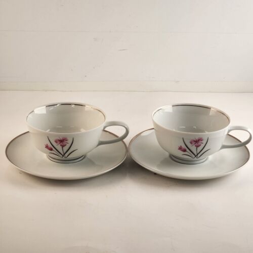 Easterling Caprice Pattern Set of 2 Cups and Cup Saucers Bavarian German Vintage