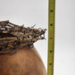 Sun Dried Gourd Bowl Carved Floral The Wild Gourd Studio Lacy Vine Rim 10"x7.5"h