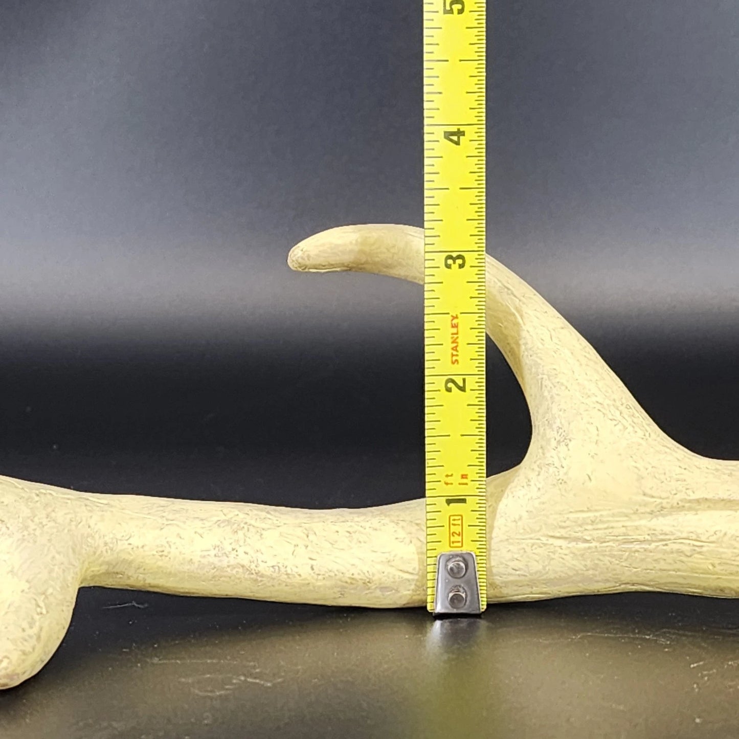 Authentic Whitetail Deer Antler Shed 6-Point Rustic Cabin Decor 12" Specimen Vtg