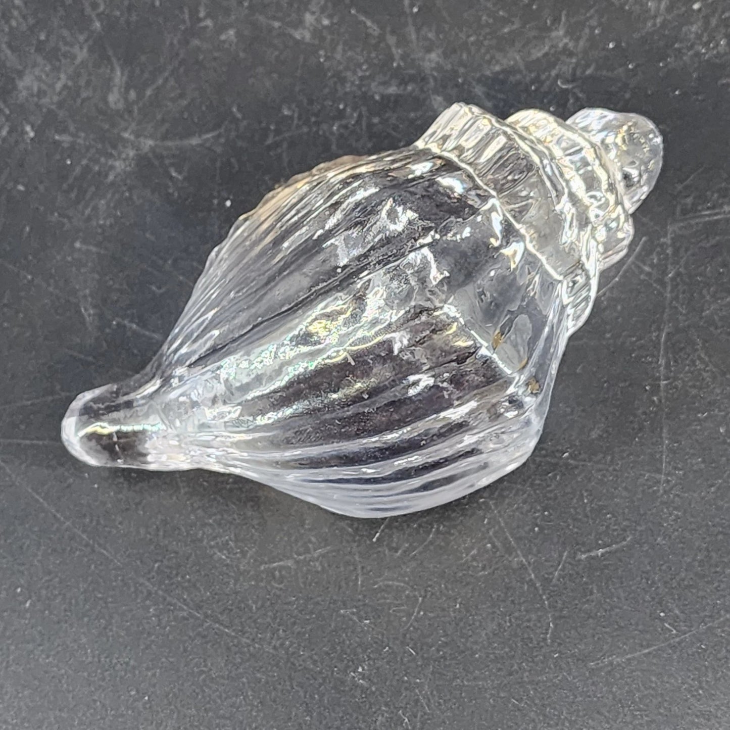 Clear Art Glass Conch Shell Paperweight Hand Blown Nautical Murano Style Decor