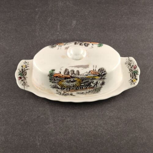 Yorkshire Staffordshire Multicolor Covered Butter Dish Vintage England