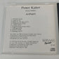 Peter Kater Anthem CD 1994 Solo Piano Silver Wave Records New Age Instrumental