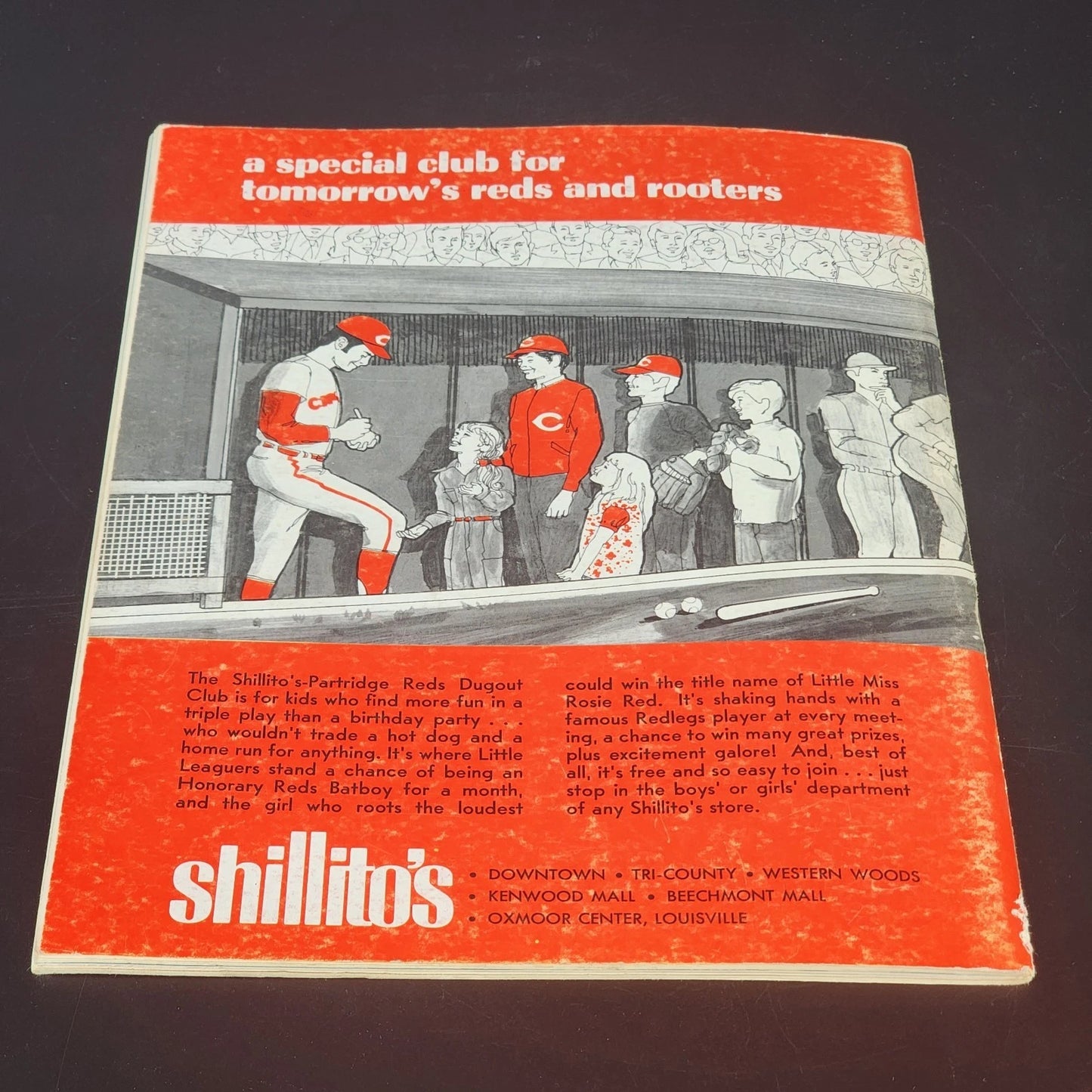 Cincinnati Reds 1971 Centennial Yearbook MLB Vintage Magazine