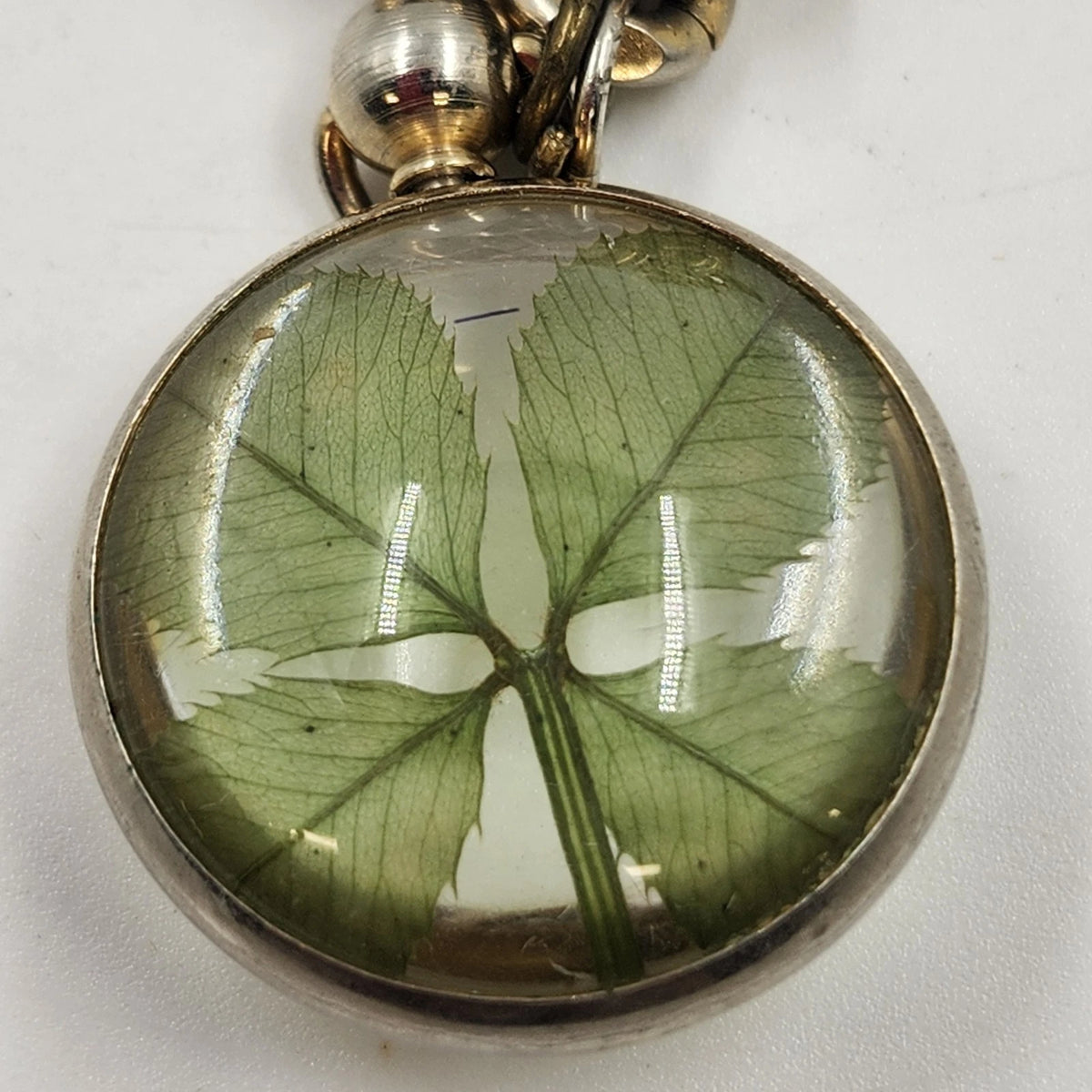 Four Leaf Clover Glass Dome Cabochon Charm Bracelet Gold Tone Curb Chain 7.5"