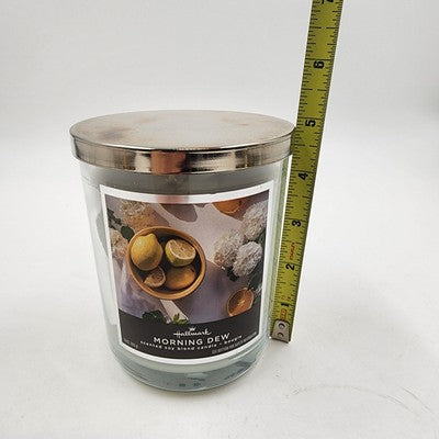 Hallmark Morning Dew 3 Lead Wick Jar Candle 16 oz Scented Soy Based Candle 0335B