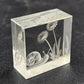 Reverse Etched Glass Paperweight Snail & Flower Design Clear Cube Collectible