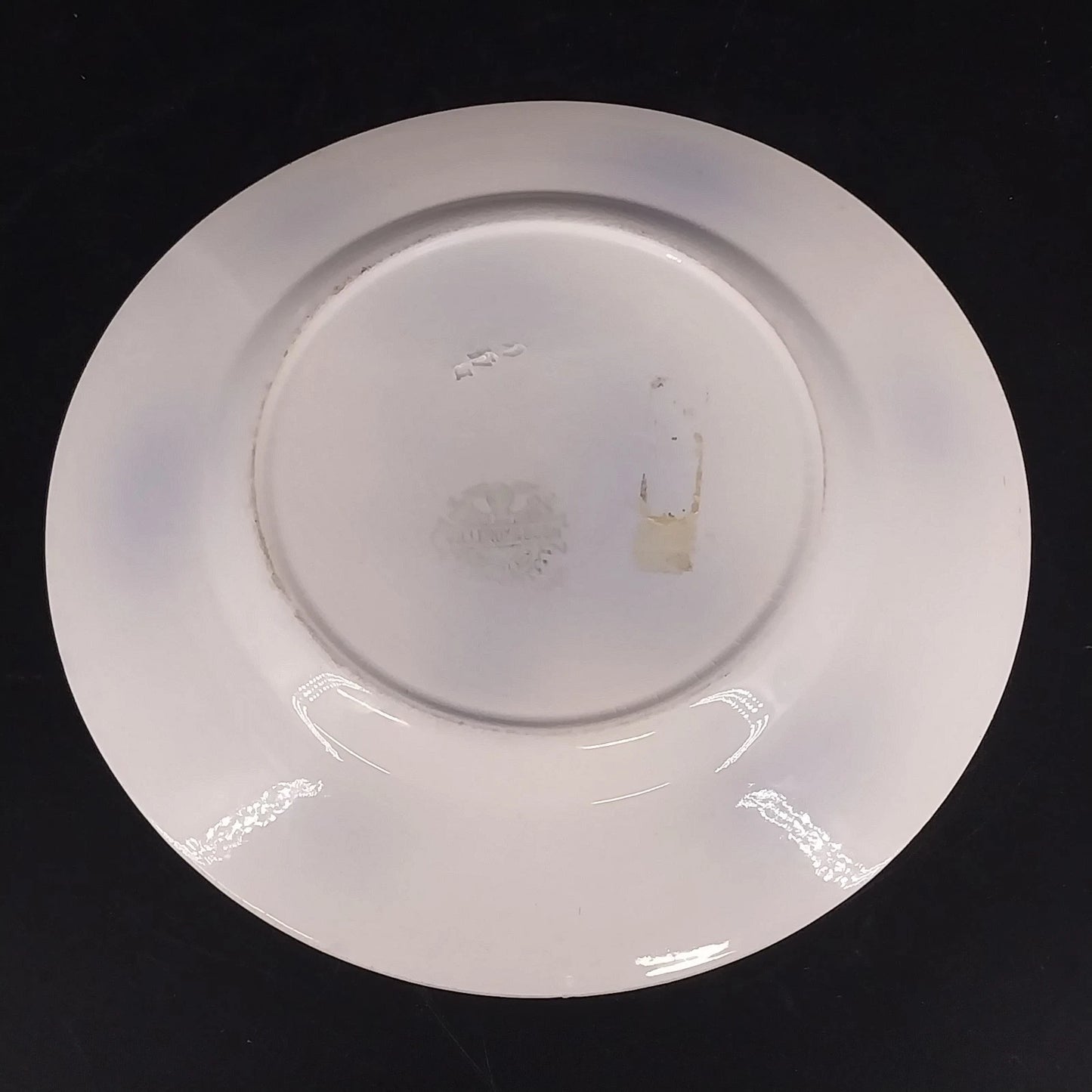 Villeroy & Boch Mettlach Blue Rose Luncheon Plate 8.25" Germany Vtg Porcelain