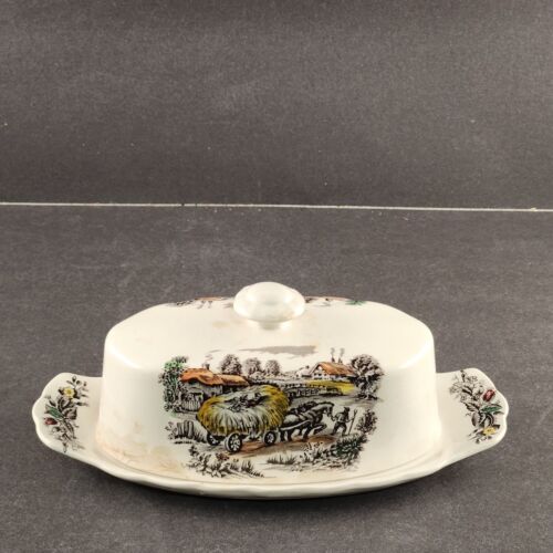 Yorkshire Staffordshire Multicolor Covered Butter Dish Vintage England