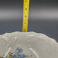 White Serving Vegetable Bowl w Blue Flower Floral Gold Scalloped Edge Embossed