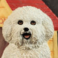 Bichon Frise Refrigerator Magnet Football at Home Dog Figurine Willabee Ward MBI