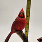 Backyard Brilliance Northern Cardinals Audubon Coll by Richard Lawson Numbered