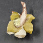Napoleon Capodimonte Porcelain Rose Blush Pink Flower Figurine Italy Collectible