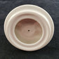 Rae Dunn Disney Princess Red Mug with TRUE LOVE Inscribed White Lid w Red Rose