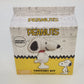 Peanuts Snoopy Crochet Kit DIY Craft Yarn Needle Stuffing Complete New Sealed