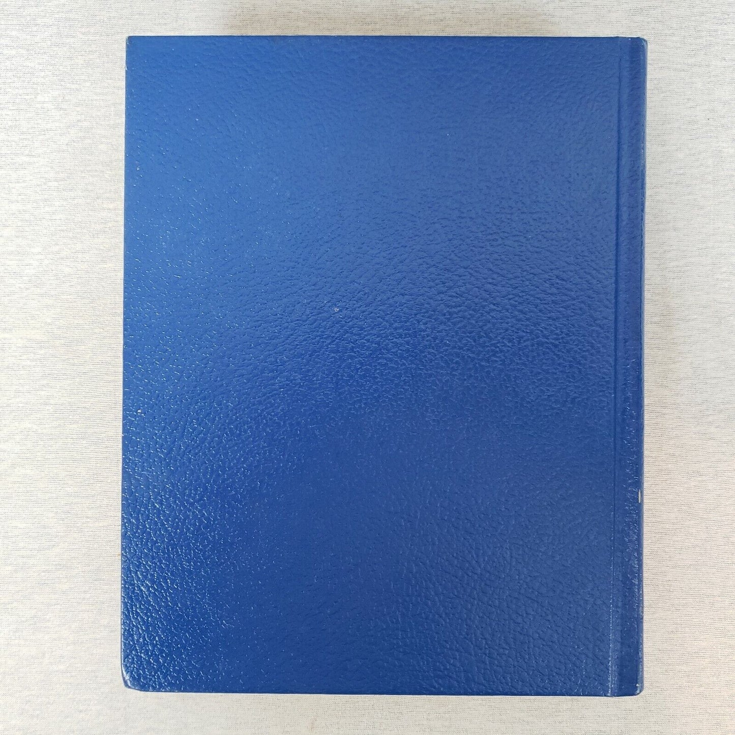 Websters New World Dictionary 1981 Student Handbook Edition