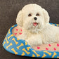 Bichon Frise Refrigerator Magnet Comfy Dog-Bed Dog Figurine Willabee Ward MBI