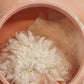 Evyan White Shoulders Pink Powder Box 1960s