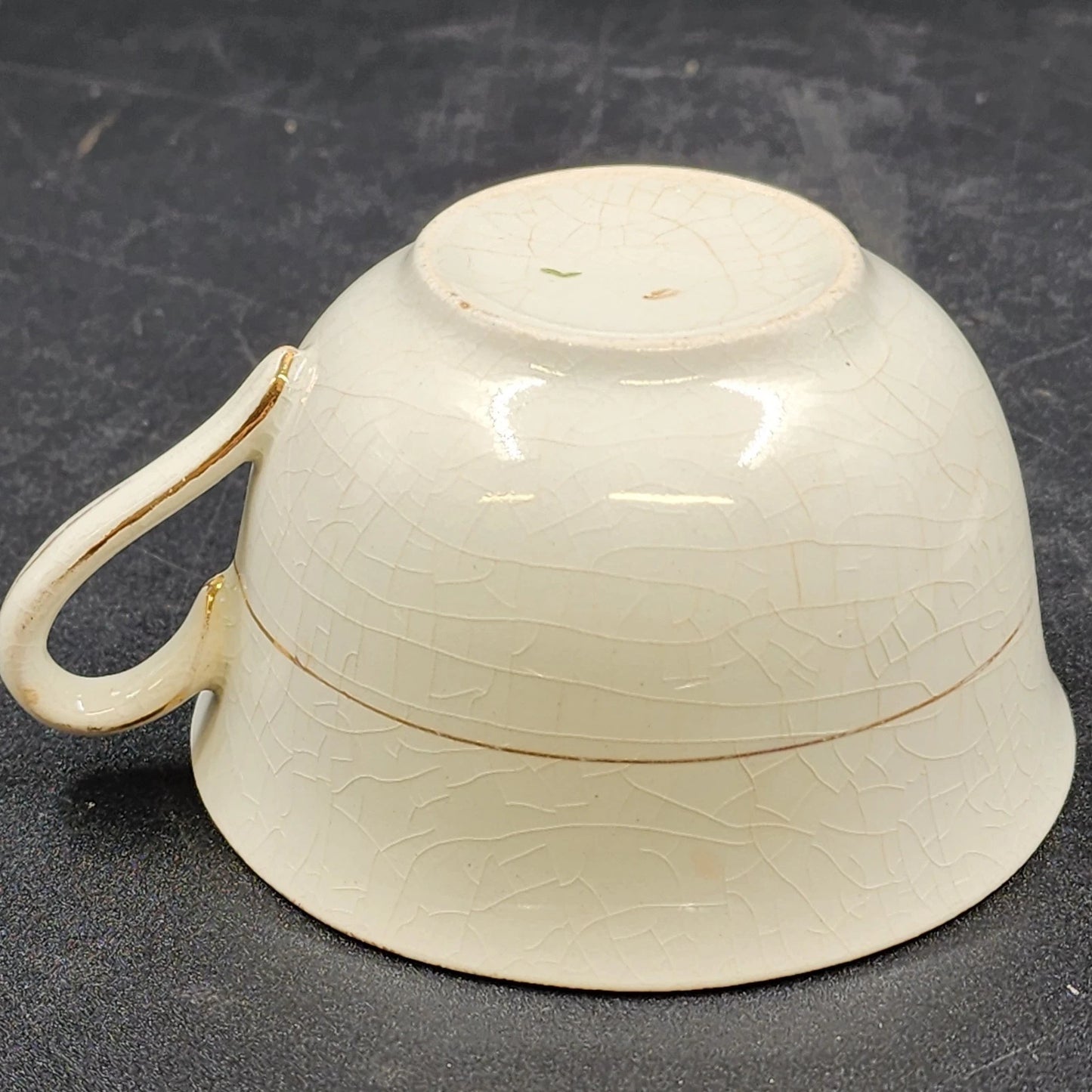 6 Nebraska Blue Flat Cup & Saucers England Blue Rim Flower Accent J & G Meakin