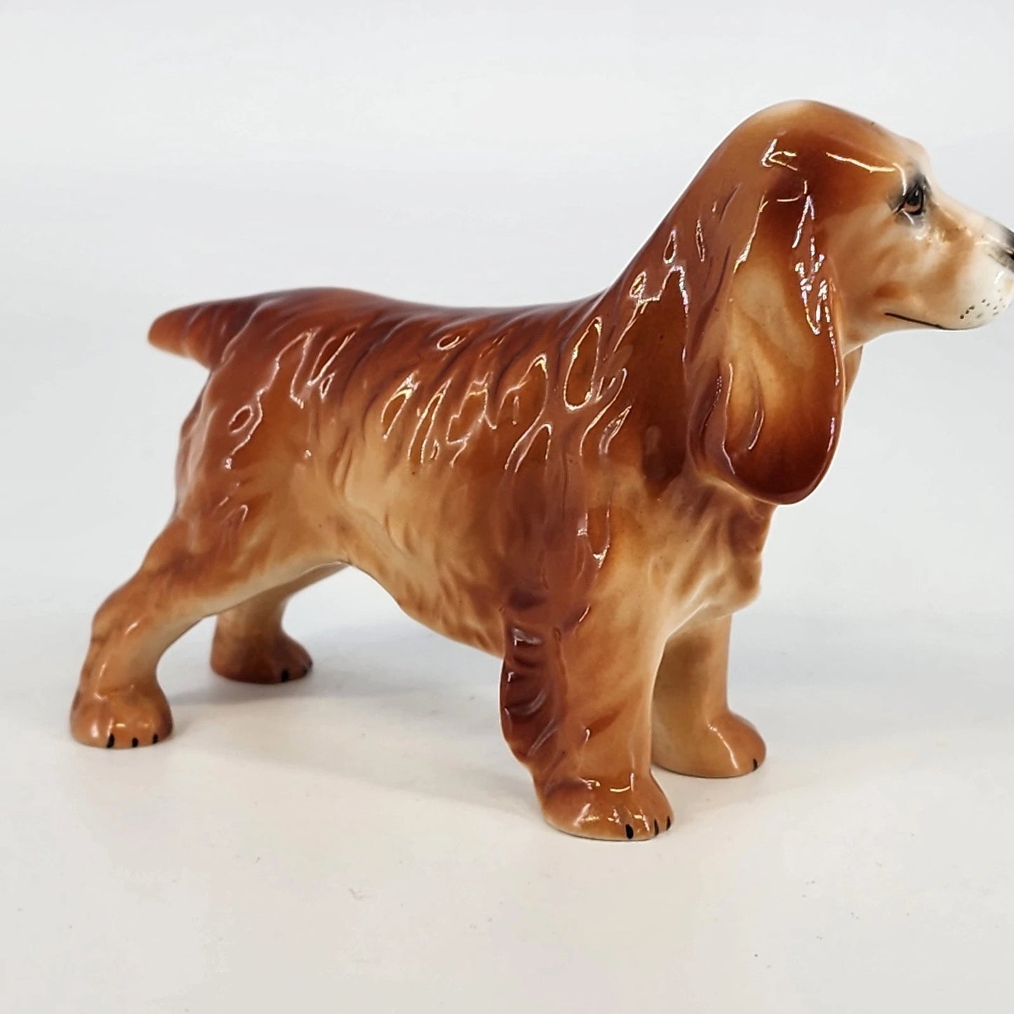 Adderley Bone China Cocker Spaniel Dog Figurine 6" Glossy Glazed England 1950's