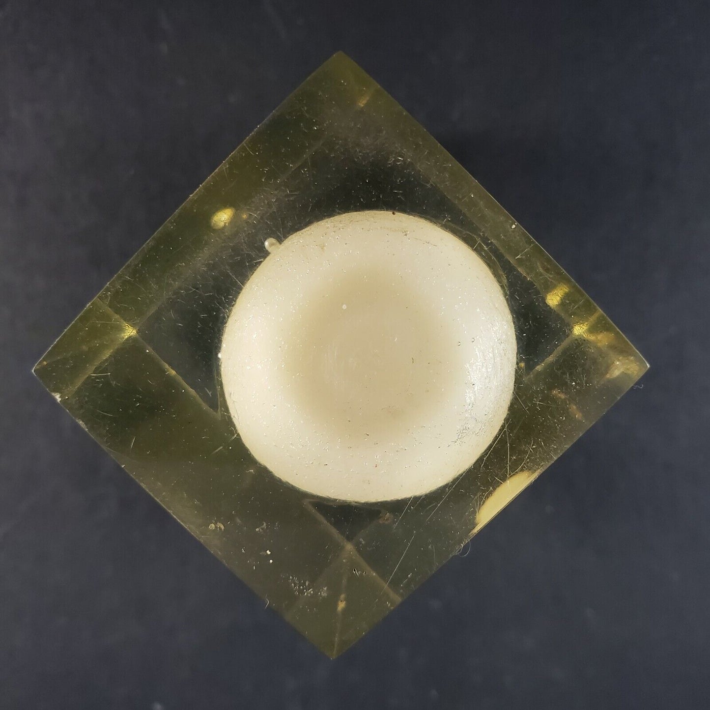 Lucite Paperweight Souvenir Florida Chick Egg Vintage Acrylic DaisyGlas 1970's