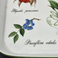 Apilco Elysian Gardens 11" Square Baker Roaster Porcelain Fruit Design France
