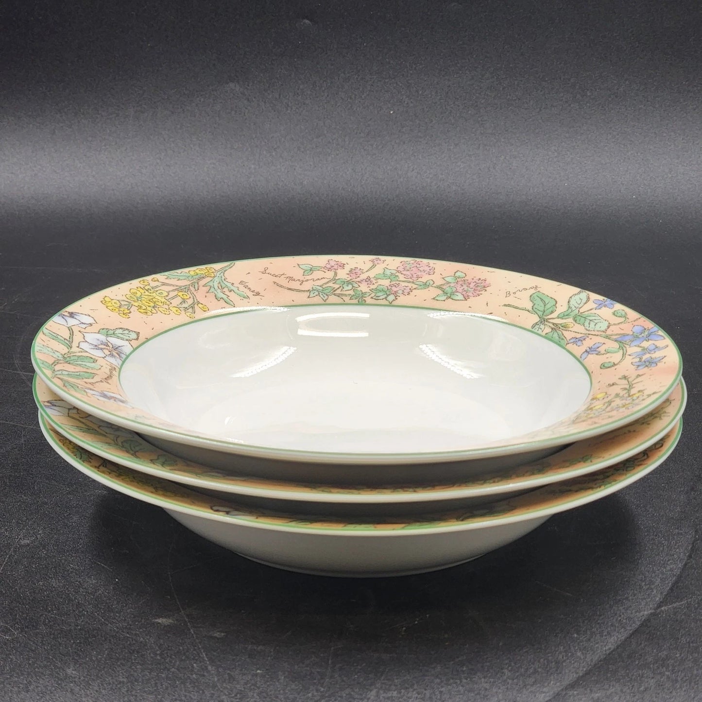 3 Sakura Ultra Porcelain Sachet Soup Bowl 9" Sue Zipkin Herbs Floral 1995 Vtg