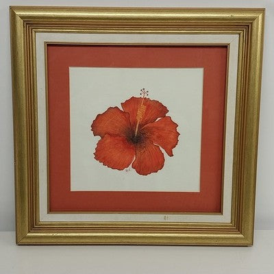 Square Gold Framed Fine Art Print Signed Red Hibiscus Spectacular Flower 19"x19"