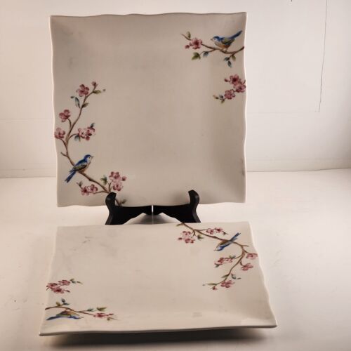 Two 222 Fifth Feathered Friends Rectangular Dinner Plate With Bird Design 10½"