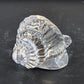 Clear Art Glass Conch Shell Paperweight Hand Blown Nautical Murano Style Decor