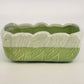 Majolica Rectangular Planter Green & Cream Embossed Leaf Design Two Tone 6.5"