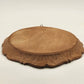 Germany Neuschwanstein Castle Vintage Hand Carved Wood Resin Wall Plate 9.5 "
