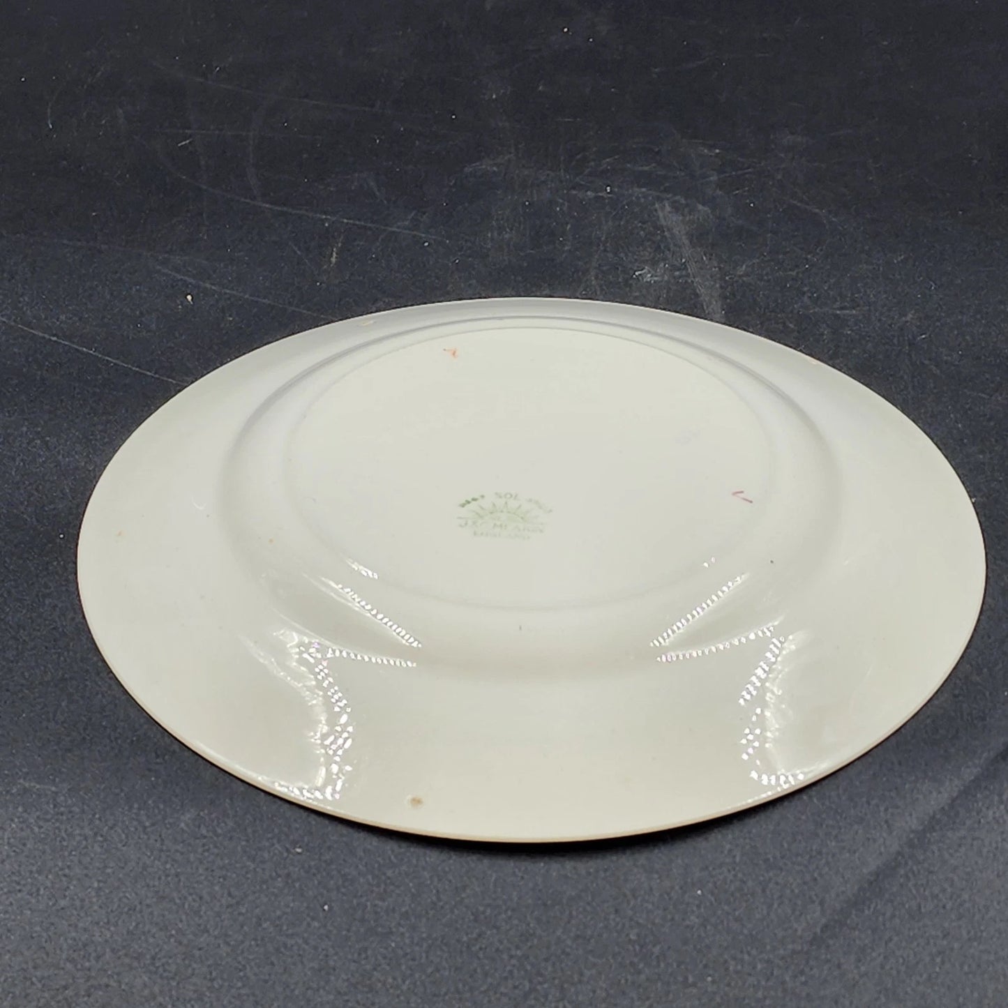 Nebraska Blue Dinner Plate 10" England Blue Rim Flower Accent J&G Meakin