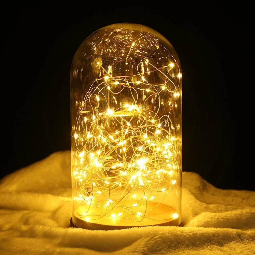 Warm white LED fairy string lights with copper wire and remote controls