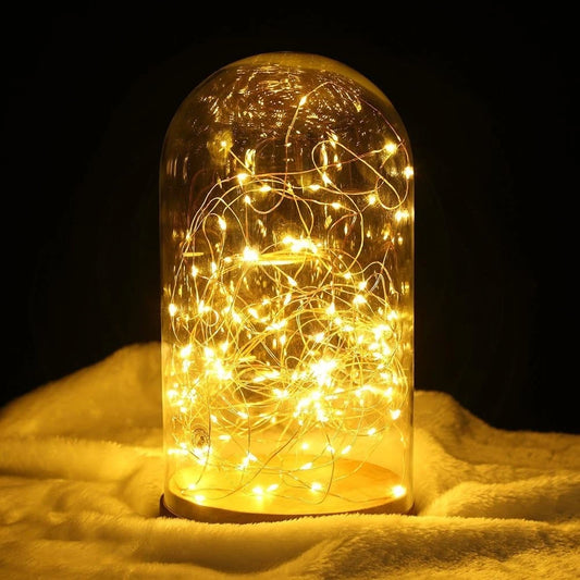 Warm white LED fairy string lights with copper wire and remote controls