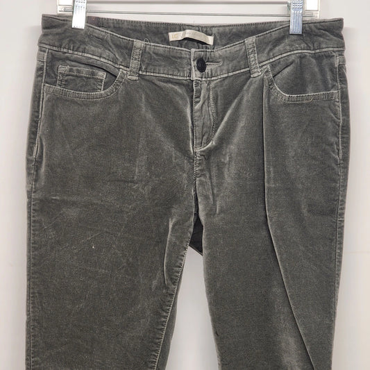 Lauren Conrad women's grey suede like stretch cotton pants size XS