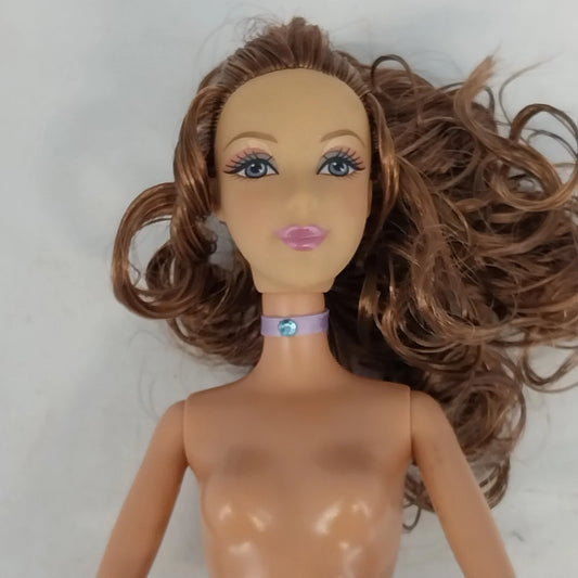 Mattel Barbie Isla Princess Doll
