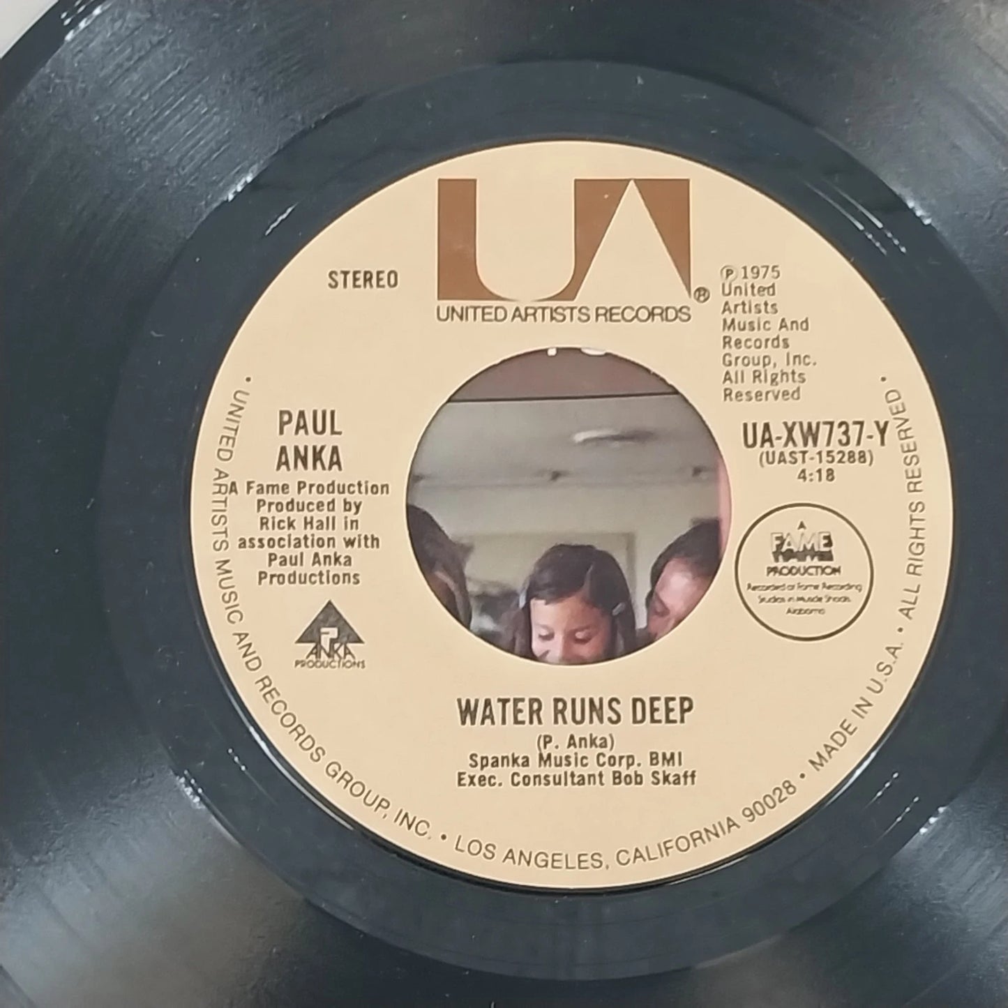 Paul Anka 45 RPM vinyl with original picture sleeve