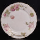 Rosenthal Monbijou Rose Bavaria dinner plate with pink floral design
