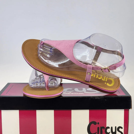 Pink Circus by Sam Edelman Cayden thong sandals for women